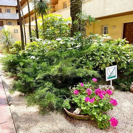 Apartbeach Tucan Vistas Playa Y Climaticado Apartment *